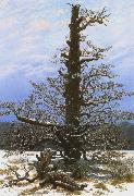 Caspar David Friedrich Oak Tree in the Snow (mk10) oil on canvas